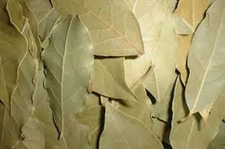 Defne Yaprağı Kurutma Özellikleri ve Faydaları Nelerdir?